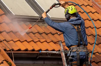 Démoussage et hydrofuge de toiture à Prémilhat